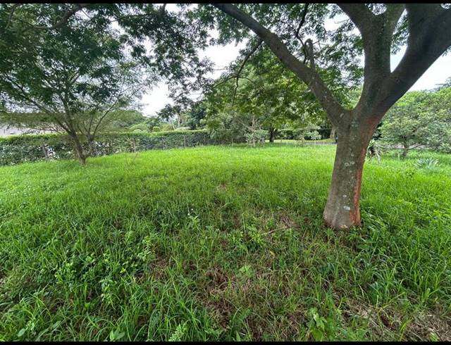 LAND FOR SALE IN ZINI RIVER ESTATE